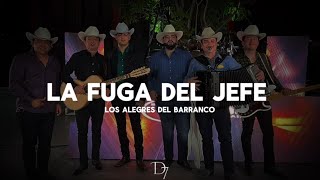 LA FUGA DEL JEFE • LOS ALEGRES DEL BARRANCOLETRALYRYCS CORRIDOS 2024 [upl. by Coffin]