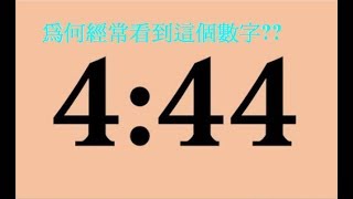 你常看到「444」或擁有這數字嗎？恭喜你！這組數字暗藏重大信息 [upl. by Anelrahc819]