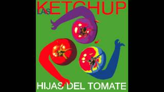 Las Ketchup  The Ketchup Song Asereje Hippy Version [upl. by Earezed]