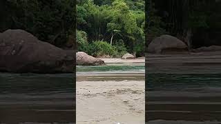 Praia 🏖️ Vila Dois Rios 🏖️ Hiking Ilha Grande 🏝️ tour travel [upl. by Gwenore]