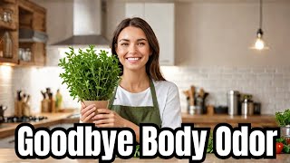 Herbs to Banish Body Odor Naturally [upl. by Norramic]