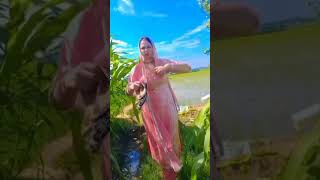 Kit chali bnke kabootriviralvideo haryanvishort newsong [upl. by Wailoo965]