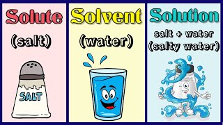 Solute solvent and solution  What are solute and solvent  What is a solution with examples [upl. by Rezzani]