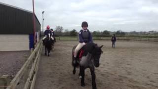 Atherstone Hunt Branch of Pony Club D Training [upl. by Wallach379]