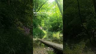 Beaver Creek Stream Crossing [upl. by Frederica]