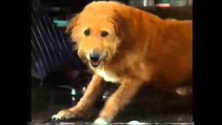 HEINEKEN LAGER BEER TV ADVERT The blues 1991 ANGLIA TV HD 1080P [upl. by Hakim]