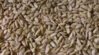 Spicy Salt and Vinegar Sunflower Seeds RAW Food Recipe for Tim Ferriss 4 Hour Body Slow Carb Diet [upl. by Aeiram]