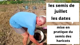 Mes conseils de semis en juillet au jardin et SECHERESSE SEMER LES HARICOTS [upl. by Abbey]