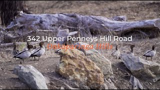 342 Upper Penneys Hill Road Onkaparinga Hills [upl. by Caiaphas]