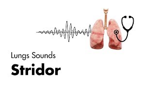 Stridor  Lung Sounds  MEDZCOOL [upl. by Dnomsad]