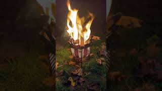 Guy Fawkes night garden burn up [upl. by Akimrej]