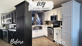 DIY KITCHEN MAKEOVER ON A BUDGET How To Paint Cabinets With A Paint Sprayer From Black To White [upl. by Egerton]