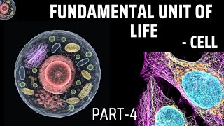 Fundamental Unit of Life Cell Cell wall biology science [upl. by Bum190]