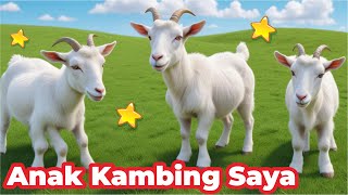 KAMBING  KAMBING EMBEKEMBEK  KAMBING KAMBING SAPI BESAR NGAMUK SAPI BESAR LUCU SAPI BESAR SEDUNIA [upl. by Mccallion]