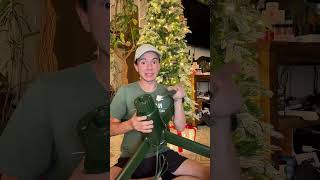 Reviewing the spinning christmas tree stand christmastree spinningchristmastreestand [upl. by Acnaiv]