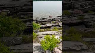 Killbear Point  Lighthouse Trail [upl. by Eikram791]