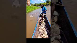 Fishing boat full hunting skills [upl. by Dorette]