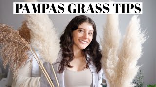 PAMPAS GRASS care  maintenance tips home decor tips 2021 [upl. by Abramo640]