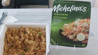 Michelinas Chicken FRIED RICE Review Microwave Frozen TV Dinner [upl. by Iene626]