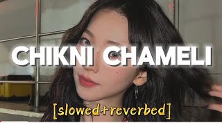 Chikni Chameli 🌼 slowedreverbed slowedandreverb slowedreverb reverb [upl. by Ddot]