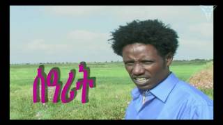 Beraki Gebremedhin  Searit  Eritrean Music [upl. by Ardekal373]