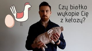 Czy nadmiar białka wyrzuci Cię z ketozy [upl. by Egdirdle387]