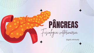 Pâncreas  Fisiologia veterinária [upl. by Leksehc]