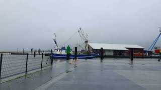 Krabbenkutter fährt in den Hafen von Dornumersiel bei Flut ein 131124 [upl. by Carleen]