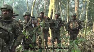 HOW UPDF COMMANDOS DESTROYED ADF IN DRC [upl. by Hnahk]