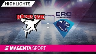 Kölner Haie  ERC Ingolstadt  Viertelfinale Spiel 5 1819  MAGENTA SPORT [upl. by Hodgson]