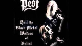 Pest FinHail the black metal wolves of Belial2003 full album [upl. by Ocsinarf]