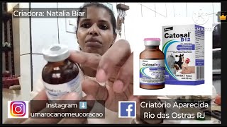 Catosal B12 Vitamina pras Galinhas e Aves [upl. by Elena]