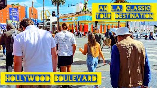 8K Hollywood Blvd  Best places to see and visit in losangeles and have a fun day walkthrough [upl. by Hakilam]