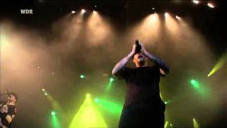 Dropkick Murphys Barroom Hero Area 4 2011 [upl. by Ailecra]