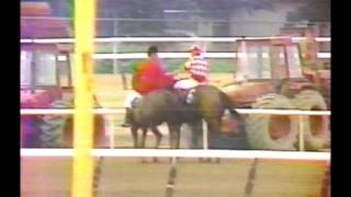 1981 Belmont Stakes  Summing  CBS Broadcast [upl. by Eletnahc]