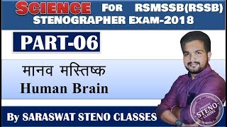 मानव मस्तिष्‍क II HUMAN BRAIN II BIOLOGY II RSMSSB STENO EXAM II BY Piyush Sir [upl. by Nadirehs320]