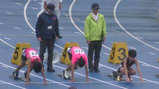 5・6年 男子 80mH 決勝 小学生陸上【4KｳﾙﾄﾗHD】神奈川県小学生陸上競技秋季交流大会 平塚レモンガススタジアム 2024105 [upl. by Sarnoff701]