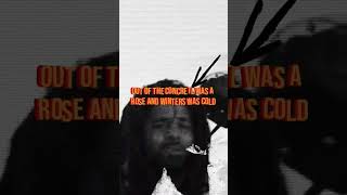 J Cole  a m a r i jcole rap hiphop [upl. by Yelah]