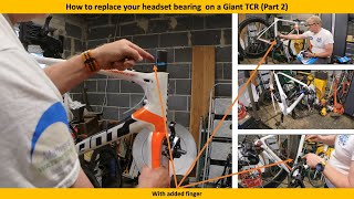 How to replace your Giant headset bearings Part 2 [upl. by Bess]