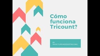 CÓMO FUNCIONA TRICOUNT  APP ÚTIL PARA GASTOS EN TUS VIAJES [upl. by Airlee]