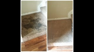 Extremely Soiled Carpet RestorationBio Break Presprayboosted with Grout Master [upl. by Sirromal165]