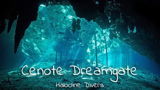 Halocline Divers  Cenote Dreamgate [upl. by Nerual]