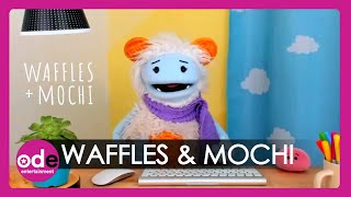 Waffles amp Mochi Talk Obamas and Reveal Celeb Wishlist For Show [upl. by Aikimat45]