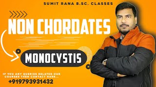 Monocystis  Non Chordates  Sumit Rana Sir [upl. by Dijam656]