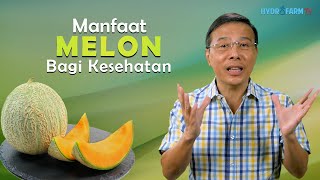 MANFAAT MELON BAGI KESEHATAN [upl. by Nnaed480]