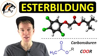 ESTERBILDUNG – Reaktionsmechanismus  Saure Esterhydrolyse  Chemie Tutorial [upl. by Neyrb]