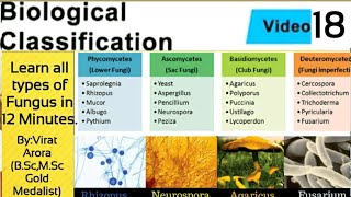 Types of fungus classification of fungiphycomycetesascomycetesbasidiomycetesdeuteromycetesNEET [upl. by Samid]