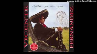 Vicente Fernández  Mi Vejez HQ Audio [upl. by Surtimed456]