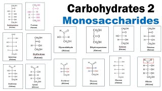 Monosaccharides  Aldoses  Ketoses  Triose  Pentose  Hexose  Dr Ghanshyam Jangid [upl. by Limaa]