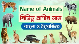 বিভিন্ন প্রাণীর নাম  Animals Name in Bengali to English  ৫৫টি পশুপ্রাণীর নাম  55 Animals Name [upl. by Reham]